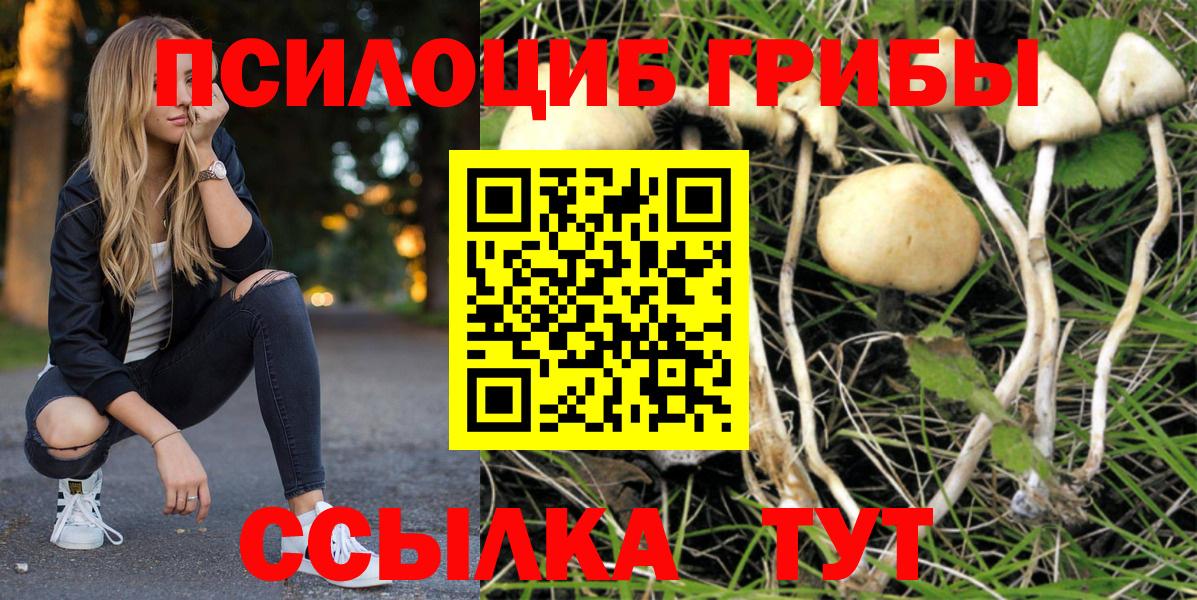 Нарткала  Псилоцибиновые грибы Psilocybine cubensis  Вход с VPN 