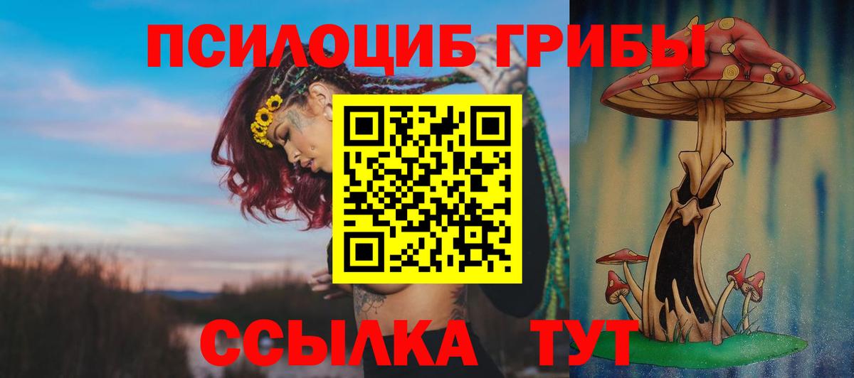 Галлюциногенные грибы Psilocybe Нарткала